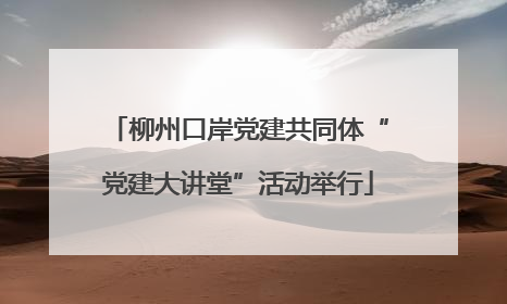 柳州口岸党建共同体“党建大讲堂”活动举行