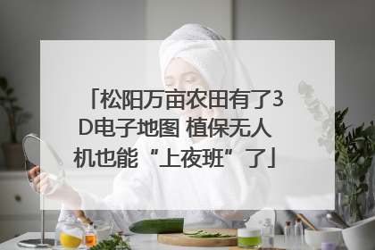 松阳万亩农田有了3D电子地图 植保无人机也能“上夜班”了