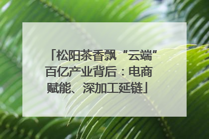 松阳茶香飘“云端” 百亿产业背后：电商赋能、深加工延链