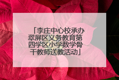 李庄中心校承办翠屏区义务教育第四学区小学数学骨干教师送教活动