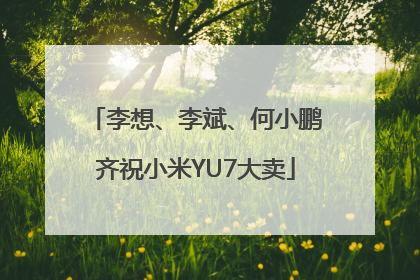 李想、李斌、何小鹏齐祝小米YU7大卖