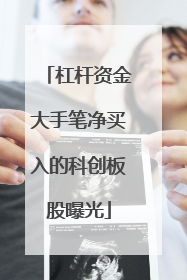 杠杆资金大手笔净买入的科创板股曝光