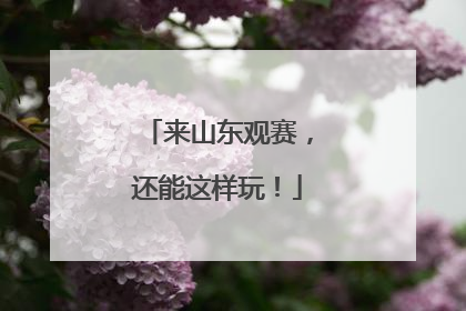 来山东观赛，还能这样玩！