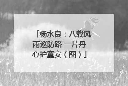 杨水良：八载风雨巡防路 一片丹心护童安（图）