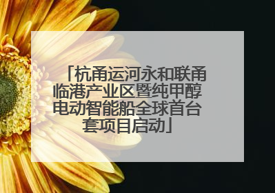 杭甬运河永和联甬临港产业区暨纯甲醇电动智能船全球首台套项目启动