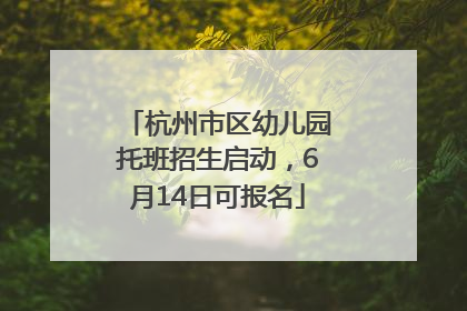 杭州市区幼儿园托班招生启动，6月14日可报名