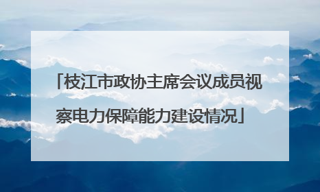 枝江市政协主席会议成员视察电力保障能力建设情况