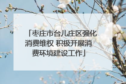 枣庄市台儿庄区强化消费维权 积极开展消费环境建设工作