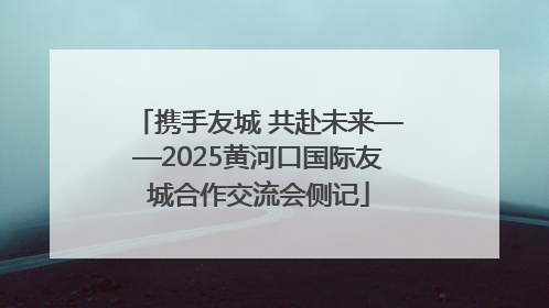 携手友城 共赴未来——2025黄河口国际友城合作交流会侧记