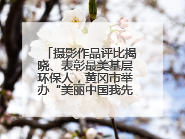 摄影作品评比揭晓、表彰最美基层环保人，黄冈市举办“美丽中国我先行”六五环境日主题宣传活动