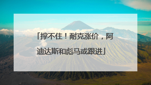 撑不住！耐克涨价，阿迪达斯和彪马或跟进