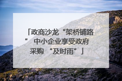 政商沙龙“架桥铺路” 中小企业享受政府采购 “及时雨”