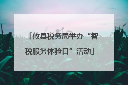 攸县税务局举办“智税服务体验日”活动
