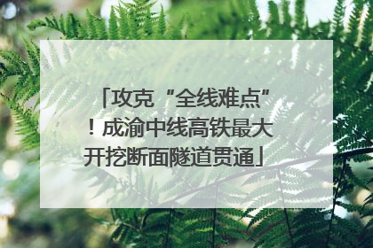 攻克“全线难点”！成渝中线高铁最大开挖断面隧道贯通