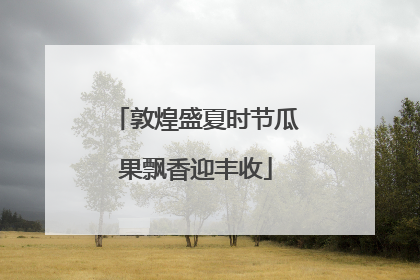敦煌盛夏时节瓜果飘香迎丰收
