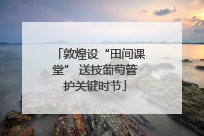 敦煌设“田间课堂” 送技葡萄管护关键时节