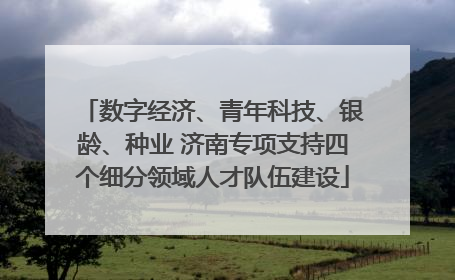 数字经济、青年科技、银龄、种业 济南专项支持四个细分领域人才队伍建设