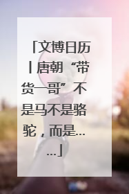 文博日历丨唐朝“带货一哥”不是马不是骆驼，而是……
