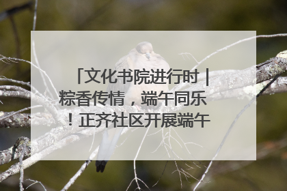 文化书院进行时｜粽香传情，端午同乐！正齐社区开展端午包粽子大赛