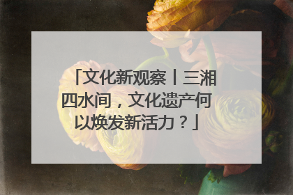 文化新观察丨三湘四水间，文化遗产何以焕发新活力？