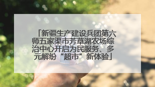 新疆生产建设兵团第六师五家渠市芳草湖农场综治中心开启为民服务、多元解纷“超市”新体验