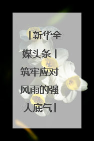 新华全媒头条丨筑牢应对风雨的强大底气