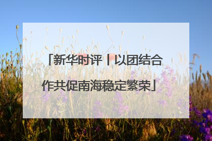 新华时评丨以团结合作共促南海稳定繁荣