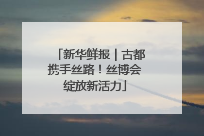 新华鲜报｜古都携手丝路！丝博会绽放新活力