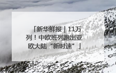 新华鲜报｜11万列！中欧班列跑出亚欧大陆“新时速”