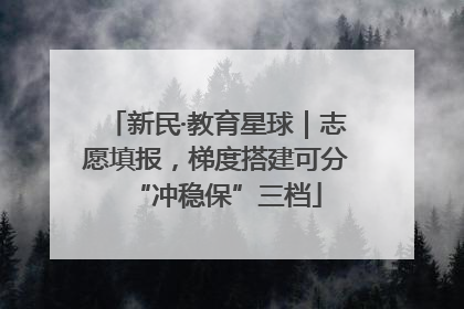 新民·教育星球｜志愿填报，梯度搭建可分“冲稳保”三档
