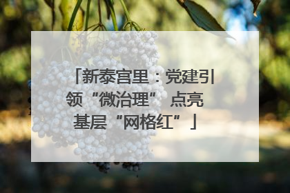 新泰宫里：党建引领“微治理” 点亮基层“网格红”
