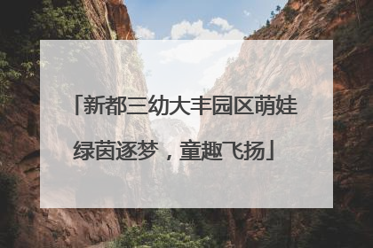 新都三幼大丰园区萌娃绿茵逐梦，童趣飞扬