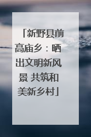 新野县前高庙乡：晒出文明新风景 共筑和美新乡村