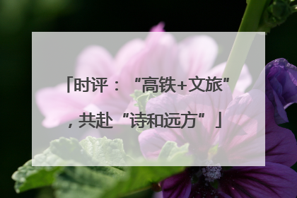 时评：“高铁+文旅”，共赴“诗和远方”
