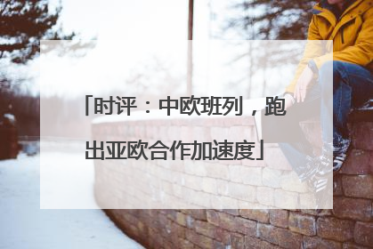 时评：中欧班列，跑出亚欧合作加速度