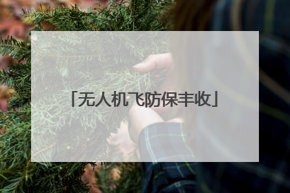 无人机飞防保丰收