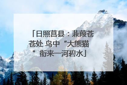 日照莒县：蒹葭苍苍处 鸟中“大熊猫”衔来一河碧水
