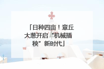 日种四亩！章丘大葱开启“机械插秧”新时代
