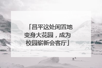 昌平这处闲置地变身大花园，成为校园崭新会客厅