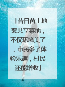 昔日黄土地变共享菜地，不仅环境美了，市民多了体验乐趣，村民还能增收