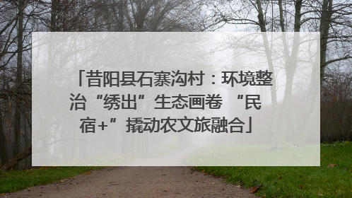 昔阳县石寨沟村：环境整治“绣出”生态画卷 “民宿+”撬动农文旅融合