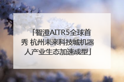 智澄AITR5全球首秀 杭州未来科技城机器人产业生态加速成型