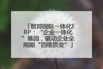 智邦国际一体化ERP：“企业一体化”基因，驱动企业全周期“四维质变”