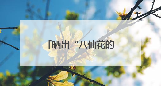 晒出“八仙花的浪漫时刻”，今天，不少读者将这份浪漫延续到家里