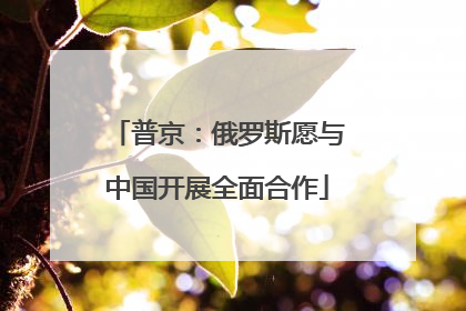 普京：俄罗斯愿与中国开展全面合作