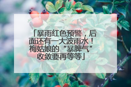 暴雨红色预警，后面还有一大波雨水！梅姑娘的“暴脾气”收敛要再等等