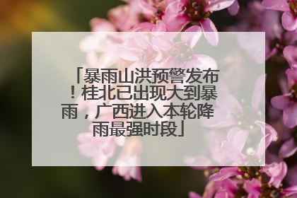暴雨山洪预警发布！桂北已出现大到暴雨，广西进入本轮降雨最强时段