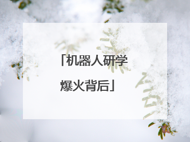 机器人研学爆火背后