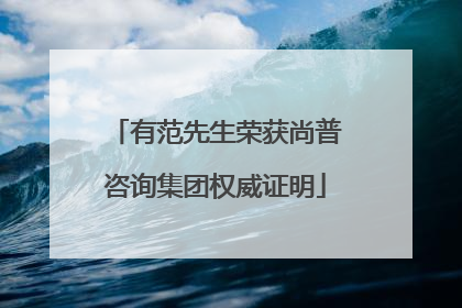 有范先生荣获尚普咨询集团权威证明