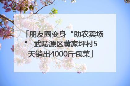 朋友圈变身“助农卖场” 武陵源区黄家坪村5天销出4000斤包菜